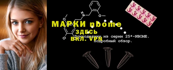 хмурый Алексин