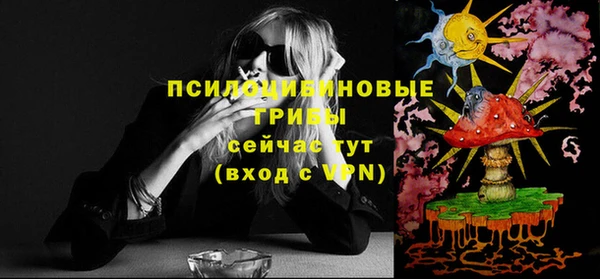 spice Арсеньев