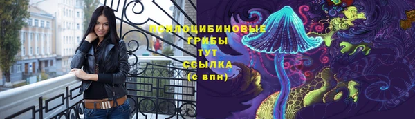 хмурый Алексин