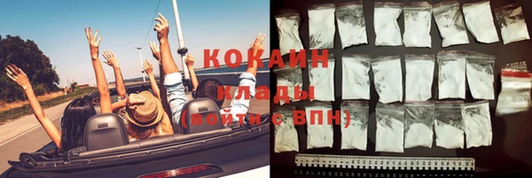 дживик Алзамай
