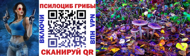 что такое наркотик  Себеж  Галлюциногенные грибы Cubensis 